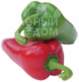 Насіння солодкого перцю Магус F1 / Magus F1,60 днів купити оптом і в роздріб в Україні за вигідною ціною