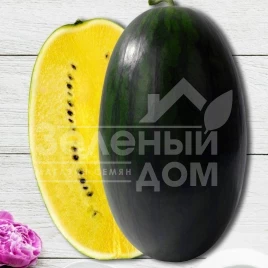 Семена арбуза Шуга Еллоу F1 / Sugar Elloy F1 купить оптом и в розницу в Украине по выгодной цене