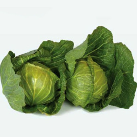 Насіння капусти білокачанної Лауда F1 / Lauda F1, 42-46 днів купити оптом і в роздріб в Україні за вигідною ціною