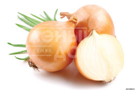 Цибуля ріпчаста Кеопе F1 (ЦРХ 2312) / Keope F1 (CRX 2312) купити оптом і в роздріб в Україні за вигідною ціною