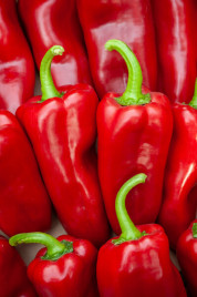 Насіння солодкого перцю Динаміка F1 / Dinamica F1, 75-77 днів купити оптом і в роздріб в Україні за вигідною ціною