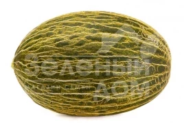 Семена дыни Мабел F1 / Mabel F1,75-85 дней купить оптом и в розницу в Украине по выгодной цене