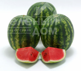 Насіння кавуна Кріспід F1 / Crispeed F1,56-62 дні купити оптом і в роздріб в Україні за вигідною ціною