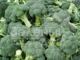 Семена капусты брокколи СВ 1002 БЛ F1 / SV 1002 BL F1,62-81 дней купить оптом и в розницу в Украине по выгодной цене