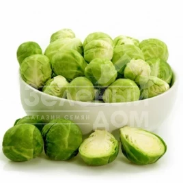 Семена капусты брюссельской Бриллиант F1 / Brilliant F1,130 дней купить оптом и в розницу в Украине по выгодной цене