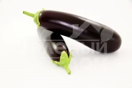 Семена баклажана Честер F1 / Chester F1,65-75 дней купить оптом и в розницу в Украине по выгодной цене