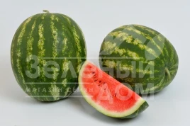 Семена арбуза Барака F1 / Baraka F1, 62-64 дня купить оптом и в розницу в Украине по выгодной цене