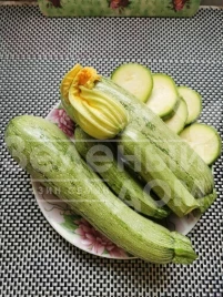 Семена кабачков Ларри (INX 5273) F1 / Larri (INX 5273) F1,40-45 дней купить оптом и в розницу в Украине по выгодной цене