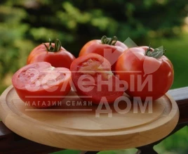 Семена томатов Таня F1 / Tanya F1,75-80 дней купить оптом и в розницу в Украине по выгодной цене