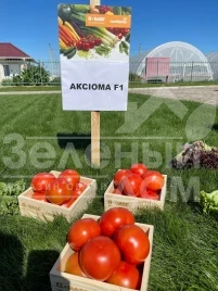 Семена томатов Аксиома F1 / Axiom F1,50-55 дней купить оптом и в розницу в Украине по выгодной цене