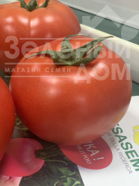Насіння томатів Адріатіка F1 / Adriatika F1, 60-65 днів купити оптом і в роздріб в Україні за вигідною ціною