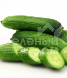 Семена огурцов Бэйби F1 / Baby F1,35-40 дней купить оптом и в розницу в Украине по выгодной цене