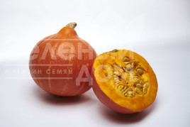 Насіння гарбуза Колінкі F1 / Kolinki F1  купити оптом і в роздріб в Україні за вигідною ціною