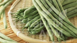 Семена спаржевой фасоли Гама / Gama купить оптом и в розницу в Украине по выгодной цене