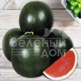 Семена арбуза Ромерия / Romeria купить оптом и в розницу в Украине по выгодной цене