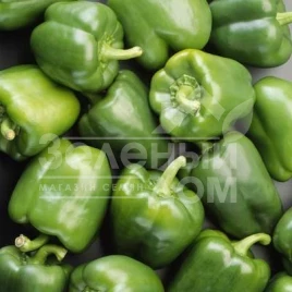 Семена сладкого перца Ивица F1 / Ivitsa F1,60-70 дней купить оптом и в розницу в Украине по выгодной цене