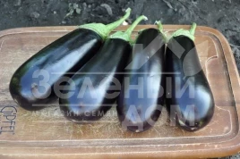 Семена баклажана Бриджит F1 / Brigitte F1,95-100 дней купить оптом и в розницу в Украине по выгодной цене