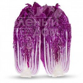 Насіння капусти пекінської Ямада (КС 888) F1 / Yamada (KS 888) F1,60 днів купити оптом і в роздріб в Україні за вигідною ціною