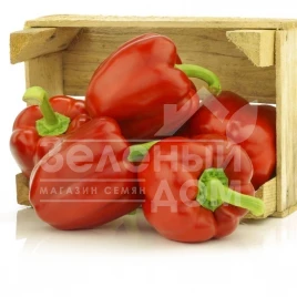Семена сладкого перца Синдерелла F1 / Cinderella F1,115-120 дней купить оптом и в розницу в Украине по выгодной цене