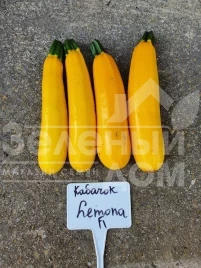 Семена кабачков Лемона F1 / Lemona F1, 38-40 дней купить оптом и в розницу в Украине по выгодной цене