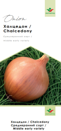 Цибуля ріпчаста Халцедон / Chalcedony купити оптом і в роздріб в Україні за вигідною ціною