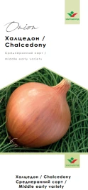 Насіння цибулі ріпчастої Халцедон / Chalcedony купити оптом і в роздріб в Україні за вигідною ціною