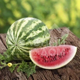 Семена арбуза АУ Продюссер / AU Producer,75 дней купить оптом и в розницу в Украине по выгодной цене