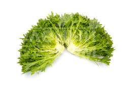 Насіння салату Екзем / Exam купити оптом і в роздріб в Україні за вигідною ціною