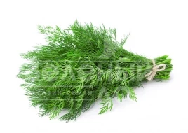 Семена укропа Брум / Brum купить оптом и в розницу в Украине по выгодной цене