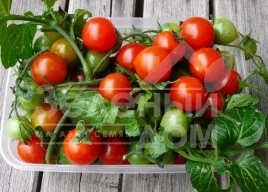Семена томатов Рубинек / Rubinek,60-70 дней купить оптом и в розницу в Украине по выгодной цене