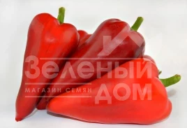 Семена сладкого перца Амулет F1 / Amulet F1,50-60 дней купить оптом и в розницу в Украине по выгодной цене