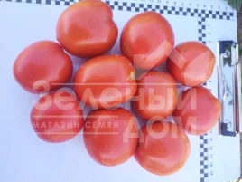 Семена томатов 9960 F1 / 9960 F1, 110 дней купить оптом и в розницу в Украине по выгодной цене