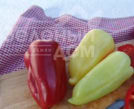 Насіння солодкого перцю Цинтія F1 / Tsintya F1 купити оптом і в роздріб в Україні за вигідною ціною