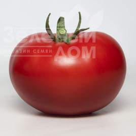 Насіння томатів КС 301 F1 / KS 301 F1,105-115 днів купити оптом і в роздріб в Україні за вигідною ціною