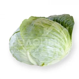 Семена капусты белокочанной Септима F1 / Septima F1,120-130 дней купить оптом и в розницу в Украине по выгодной цене