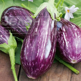 Насіння баклажанів Цаконіки / Cakoniki купити оптом і в роздріб в Україні за вигідною ціною