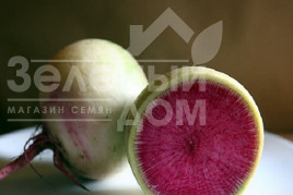 Насіння редьки Ред Міт  / Res Mit,60 днів купити оптом і в роздріб в Україні за вигідною ціною