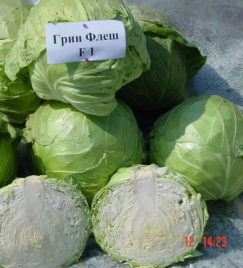 Насіння капусти білокачанної Грін флеш F1 / Green Flash F1,53-57 днів купити оптом і в роздріб в Україні за вигідною ціною