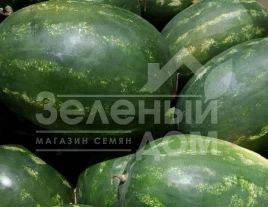 Семена арбуза Бонд F1 / Bond F1,60-65 дней купить оптом и в розницу в Украине по выгодной цене