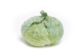 Капуста белокочанная Грин Прайм F1 / Green Prime F1 купить оптом и в розницу в Украине по выгодной цене