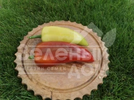 Семена сладкого перца Дуэт F1 / Duet F1,62-67 дней купить оптом и в розницу в Украине по выгодной цене