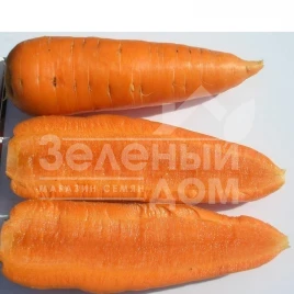 Семена моркови Шантане / Chantenay,110-120 дней купить оптом и в розницу в Украине по выгодной цене