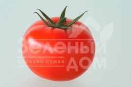 Семена томатов Магнус F1 / Magnus F1,60-65 дней купить оптом и в розницу в Украине по выгодной цене