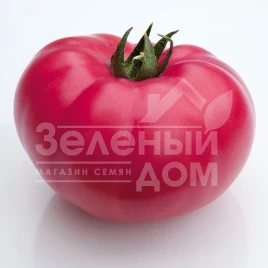 Семена томатов КС 3811 F1 / KS 3811 F1,105-115 дней купить оптом и в розницу в Украине по выгодной цене