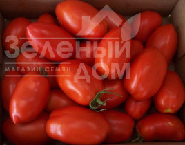 Насіння томатів Ред Скай F1 / Red Sky F1,100-110 днів купити оптом і в роздріб в Україні за вигідною ціною