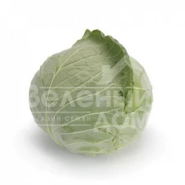 Семена капусты белокочанной Болерома F1 / Boleroma F1,60-75 дней купить оптом и в розницу в Украине по выгодной цене