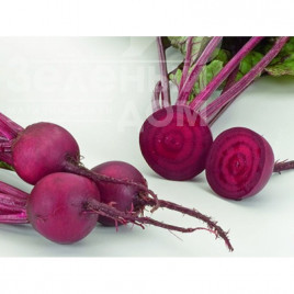 Насіння буряка Бонел / Bonel,110-115 днів купити оптом і в роздріб в Україні за вигідною ціною