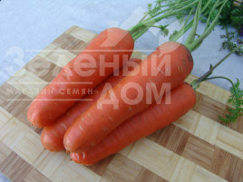Насіння моркви Харізма F1 / Harizma F1,115-120 днів купити оптом і в роздріб в Україні за вигідною ціною