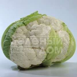 Семена капусты цветной Мисора F1 / Misora F1,80-85 дней купить оптом и в розницу в Украине по выгодной цене