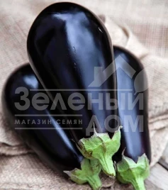 Семена баклажана Перфекшн F1 / Perfection F1 купить оптом и в розницу в Украине по выгодной цене